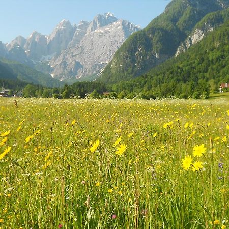 Affittacamere Krajnc Malborghetto Valbruna Exterior foto